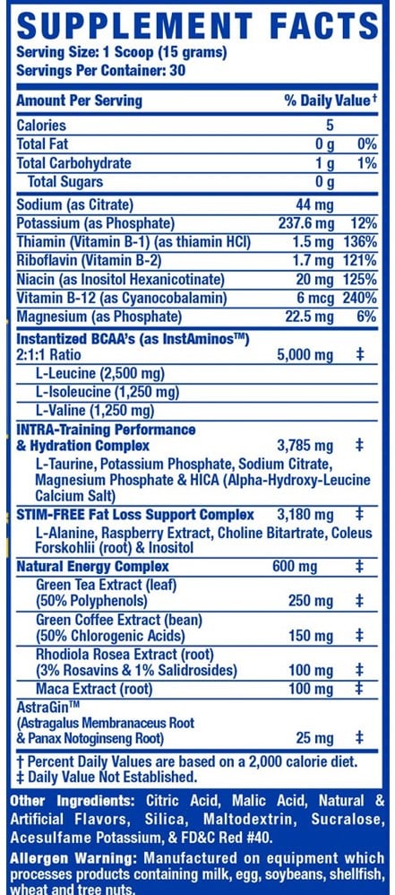 RCSS Amino-Tone + Energy - 450 g Mango Pineapple